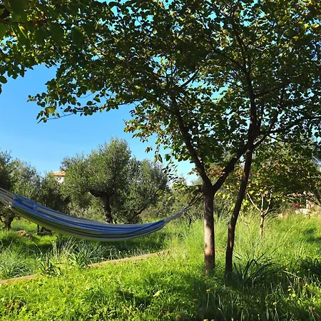 Mani's Kept Secret - Seaview Lida Villa