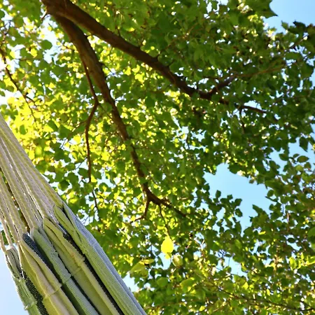 Villa Mani's Kept Secret - Seaview Lida